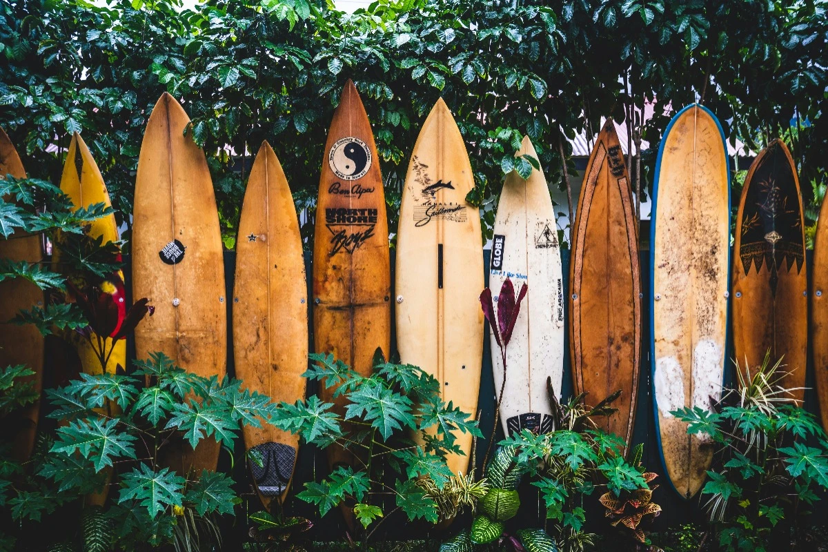 Hawaii senate sends sports betting bill back to house for potential passage